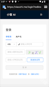 小智ai聊天机器人安卓版下载-小智ai手机版最新版本下载v3.0.0.2 ...