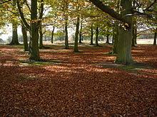 It was founded in 1637 by king charles i of england as a park for the hunting of red and fallow deer, and, in 1719, queen caroline of ansbach bought richmond park as a country residence. Richmond Park Wikipedia