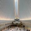 Previously known as freedom tower, it is currently the tallest building in new york city. Https Encrypted Tbn0 Gstatic Com Images Q Tbn And9gcti7gd2whg7oe1szizt9qfvnnvvjiq1ggz0e1zdthprrkmbcqyw Usqp Cau