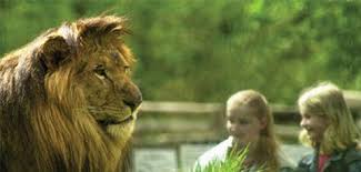 Ausflugsidee Fur Die Ganze Familie Zoo Eberswalde In Brandenburg Zoo Tiere Ausflug