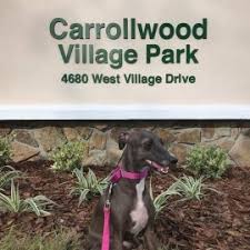 Check spelling or type a new query. Carrollwood Village Park Other Carrollwood Tampa