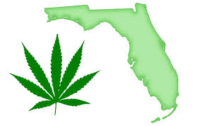 Without expenses being covered yet for. Part Time Florida Residents Can Receive A Medical Marijuana Certification Card Medwell Health And Wellness Centers