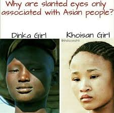 Black And Asian People Im Gonna Hurt Somebodys Feelings In 2020 African American History Facts Black History Facts Black History Books