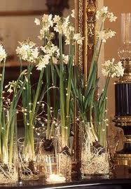 Forcing Bulbs With No Soil Bulb Flowers Indoor Flowers Narcissus Bulbs