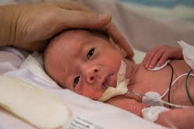 Fall 2023 National Neonatal and Advanced Practice Neonatal Nurses Conference