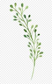 Oltre 4.000 vettori, foto stock e file psd. La Pittura Ad Acquerello Verde Acquerello Fiori Scaricare Png Disegno Png Trasparente Foglia Di Verdura Png Scaricare