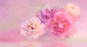 Try it for free today! June Birth Flower List And Meaning