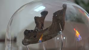 Relic of Saint Patrick: The jawbone.