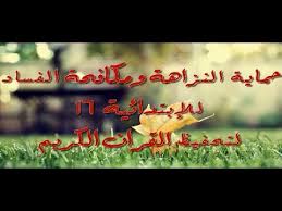 النزاهة ومكافحة عبارات عن النزاهة