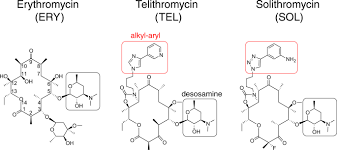 Image result for Extended Spectrum Macrolide