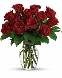 Check spelling or type a new query. Enduring Passion 12 Red Roses In Charlotte Nc Starclaire House Of Flowers Florist