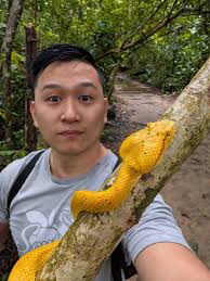 saw bothriechis nigroaspersus in costa rica