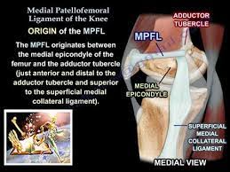 Maybe you would like to learn more about one of these? Medial Patellofemoral Ligament Of The Knee Anatomy Everything You Need To Know Dr Nabil Ebraheim Youtube