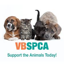 Homeward pet's mission is to transform the lives of cats and dogs in need through compassionate medical care, positive behavior training, and successful adoption while building a. C5bdi Giveback Virginia Beach Spca Care Hope And Rehabilitation