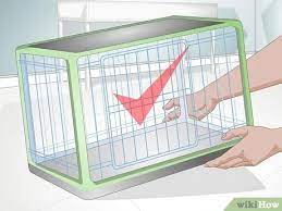 Puppies tend to play for 30 minutes or an hour, lose all their energy and then refill after a nap. How To Get Your Puppy To Sleep In Its Own Bed 13 Steps