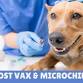 Low-Cost Vaccine & Microchip Clinic event in St Charles, MO