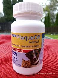 I Don T Brush My Dog S Teeth I Did This Instead Dog Teeth Cleaning Teeth Cleaning Dog Teeth
