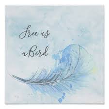 Blue Watercolor Feather Custo Free As A Bird Quote Poster Watercolor Gifts Style Unique Ideas Diy Bird Quotes Watercolor Feather Feather Quotes