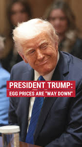 Liz Cheney/Adam Kinzinger Against Trump