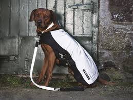 Rambo newmarket dog blankets in stock and ready to ship. Gallery Pet Road Apples Inc