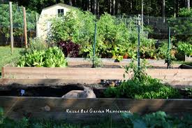 We offer services including (but not limited to) Raised Bed Garden Maintenance Home Garden Joy