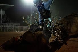 Lexi Christopher Photography