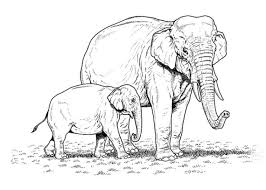 Referat elefant bilderzum ausmalen / malvorlage elefant | elephant coloring page, coloring. Elmar Elefant Ausmalbild Kostenlos