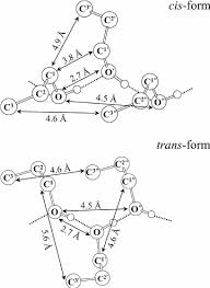A chemical structure of a molecule includes the arrangement of atoms and the chemical bonds that hold the. Structure Models Of 1 Propanol Chains In Cis And Trans Forms The Download Scientific Diagram