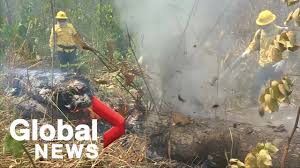 Firefighters Tackle Fires Continuing To Burn In Devastated Amazon Rainforest Youtube