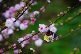 13 серпня в народі відзначають день євдокима. Yake Svyato 13 Serpnya 2021 Vazhlivi Dati V Istoriyi Unian