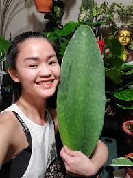 My new whale in her happy home