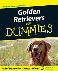 Also follow the training program in my book teach your dog 100 english words, which includes lots of fun exercises for your golden. Best Golden Retriever Training Books Top 5 Reviewed 2021 My Golden Retriever