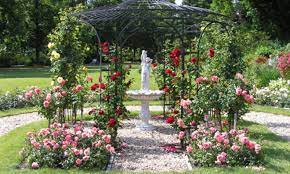 Gartenbista » pflanzen » wie kann man selber rosen konservieren? Rosen Pflanzen Selbst De