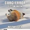 This is the price you can expect to budget for a corgi with papers but without breeding rights nor show quality. Https Encrypted Tbn0 Gstatic Com Images Q Tbn And9gcrhycirzfvfwokxoszmngdfc6hglv9 Ygywun4rpsvye5jxymz3 Usqp Cau