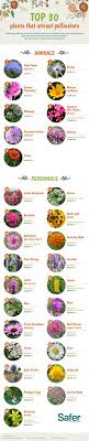 Studies have shown that native plants are four times more likely to attractive native bees. 20 Bee Attracting Flowers Ideas Bee Garden Bee Bee Friendly