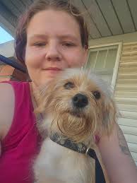 Found Female Dog in Detroit Michigan