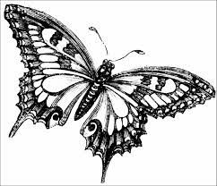 Imagenes De Mariposas Para Imprimir Como Dibujar Mariposas Mariposas Para Imprimir Imagenes De Mariposas