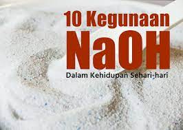 Pada tumbuhan bunga hanya tumbuh saat tahap reproduksi. 10 Kegunaan Naoh Natrium Hidroksida Dalam Kehidupan Sehari Hari