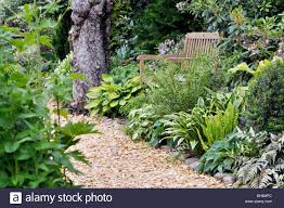 Dieses Stockfoto Schattigen Garten Mit Funkien Und Farne Design Marianne Und Detlef Ludke Bh9mpc Aus Der Alamy Bibl Farne Garten Garten Garten Und Outdoor