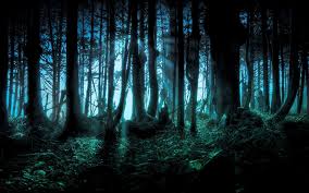 Nature Landscape Forest Dark Digital Art Wallpapers Hd Desktop And Mobile Backgrounds Use wallpapers on your phone, desktop background, website and more. nature landscape forest dark