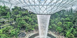 From s$320/night on weekdays and s$360/night for fridays to sundays, public holidays and eves. Complete Guide To Canopy Park In Jewel Changi Airport Singapore Trevallog