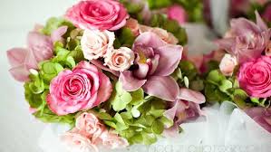 Where is town and country gardens in geneva il? Town Country Gardens Downtown Elgin