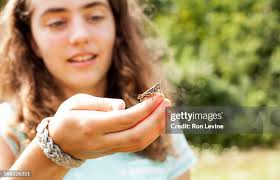 771 Victor Levine Stock Photos, High-Res Pictures, and Images