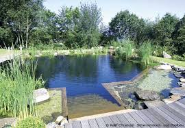 Schwimmteichbau 2019besucher in unserem garten sind immer sehr interessiert an unserem schwimmteich. Pool Oder Schwimmteich Im Garten Bauen Garten Hausxxl Garten Hausxxl