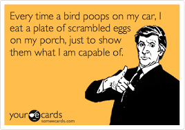 Back to home bird memes. Every Time A Bird Poops On My Car I Eat A Plate Of Scrambled Eggs On My Porch Just To Show Them What I Am Capable Of Confession Ecard