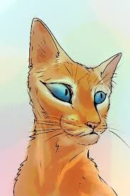 Check spelling or type a new query. Orange Cat With Blue Eyes Album On Imgur