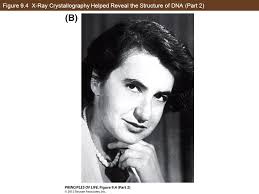 DNA and Its Role in Heredity