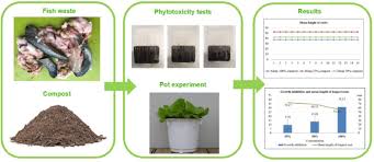 Feel free to use it for vegetables and fruit, herbs and trees, and even shrubs. Valorization Of Fish Waste Compost As A Fertilizer For Agricultural Use Springerlink