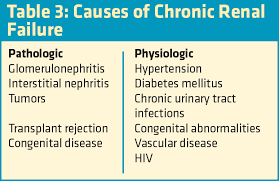 End stage renal disease new patient education manual. Exploring Chronic Kidney Disease Emsworld Hmp Global