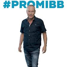 Janine pink gewinnt promi big brother und tanzt mit ihrer containerliebe tobi in den sonnenuntergang. Promi Big Brother Yes Sticker By Prosiebensat 1 For Ios Android Giphy